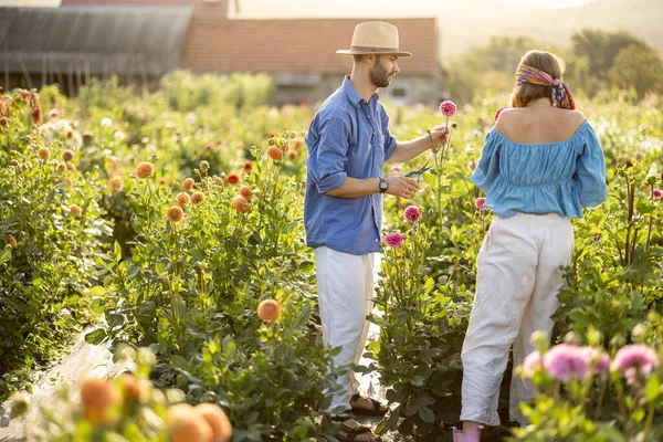 Portrait Man Woman Stand Farmers Bucket Full Freshly Picked White — Foto de Stock