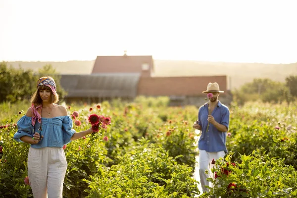 Man Woman Pick Dahlia Flowers While Working Rural Flower Farm — Stockfoto