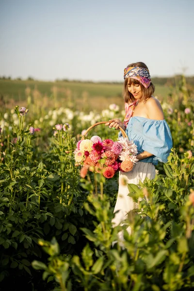 Portrait Woman Farmer Carries Bucket Full Freshly Picked Colorful Dahlias — Foto de Stock