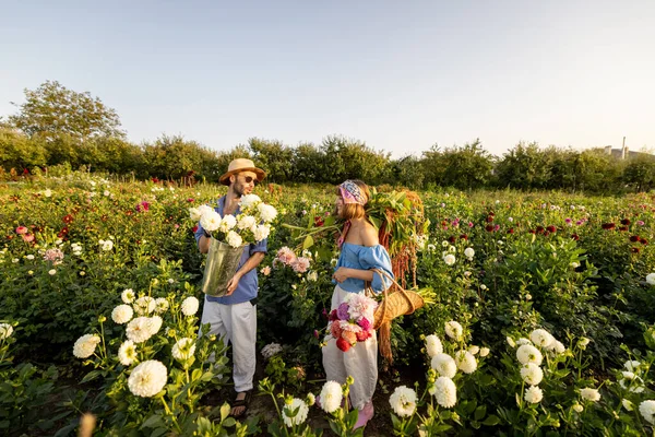 Stylish Man Woman Pick Dahlia Flowers While Working Rural Flower — Stockfoto