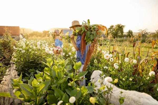 Boerderijarbeiders Dragen Veel Vers Opgehaalde Bloemen Het Platteland Tijdens Zonsondergang — Stockfoto