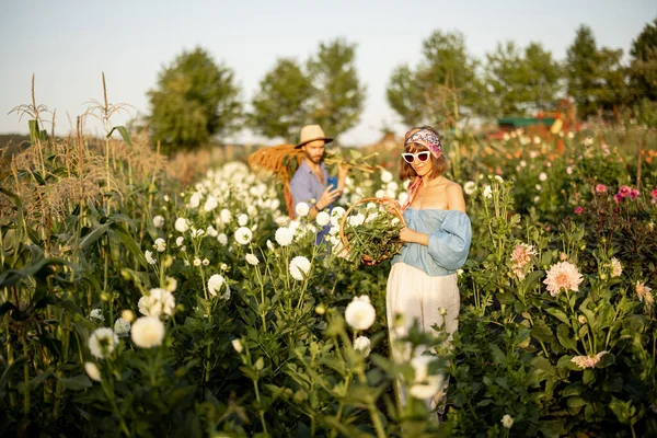 Farm Workers Carry Lots Freshly Picked Flowers Rural Farm Sunset —  Fotos de Stock