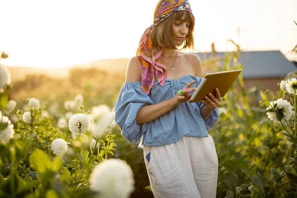 Young Woman Farmer Works Digital Tablet Flower Farm Dahlias Sunset — 图库照片