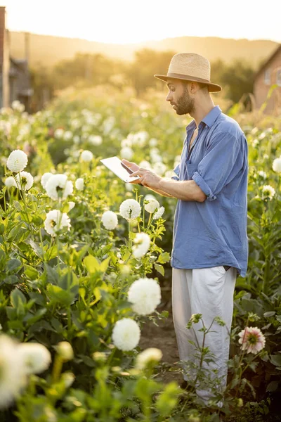 Man Hat Farmer Works Digital Tablet Flower Farm Examining Dahlias — Stock Photo, Image