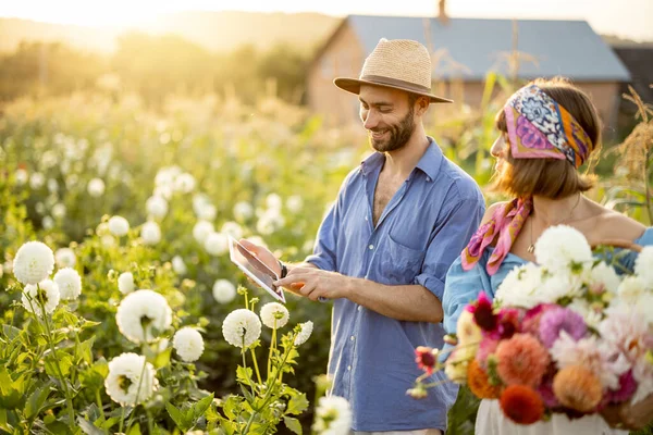 Man Woman Pick Dahlia Flowers Standing Together Flowers Digital Tablet — Stok fotoğraf
