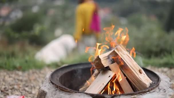 Primer Plano Hoguera Llamas Camping Naturaleza Mujer Con Perro Fondo — Vídeos de Stock