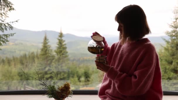 스웨터를 여자는 자연계에서 소나무 위에서 광경을 창가에 뜨거운 음료를 마신다 — 비디오