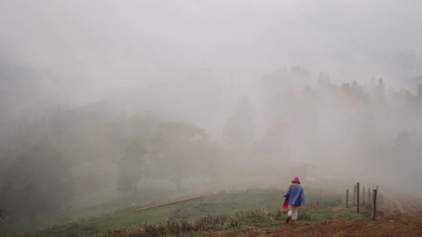 Gyönyörű Táj Ködös Hegyek Személy Fényes Ruhát Sétál Egy Kutya — Stock videók