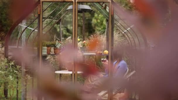 青いセーターの女性は裏庭で花や植物と美しいガラス温室でリラックスして座っている間に熱い飲み物を飲む 庭の居心地の良い雰囲気で余暇を過ごす — ストック動画