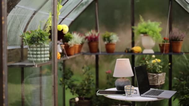 Hermoso Lugar Trabajo Invernadero Con Plantas Flores Los Estantes Portátil — Vídeos de Stock