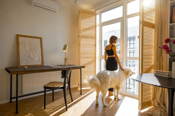 年轻的女人和她的狗站在窗前的百叶窗边 用米色的色调望着现代化公寓舒适而阳光灿烂的客厅里 孤独和家庭生活概念 — 图库照片