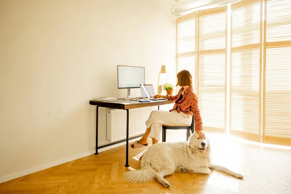 Woman Works Computers While Sitting Cozy Workplace Her Dog Sunny — ストック写真