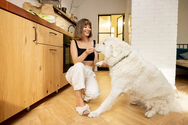여자들은 귀엽고 개에게 먹이를 집에서 부엌에서 시간을 보낸다 동물돌보기 — 스톡 사진