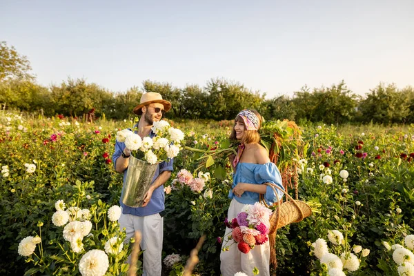 Stylish Man Woman Pick Dahlia Flowers While Working Rural Flower — Stockfoto