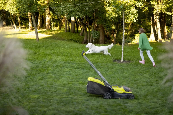 Genç Bir Kadın Beyaz Sevimli Köpeğiyle Oynuyor Evcil Hayvanlarıyla Avluda — Stok fotoğraf