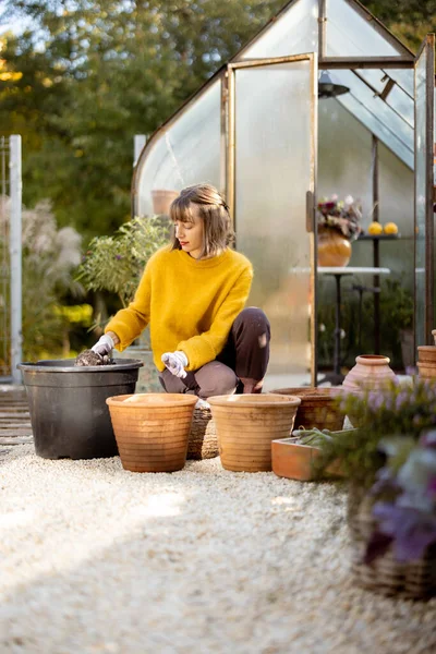 Nainen Istuttaa Kukkasipulit Savi Kannuja Kasvaa Lasi Orangery Puutarhassa Kukkakauppa — kuvapankkivalokuva