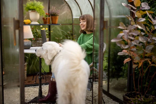 Woman Plays Her Dog While Sitting Relaxed Beautiful Greenhouse Growing — Stock Photo, Image