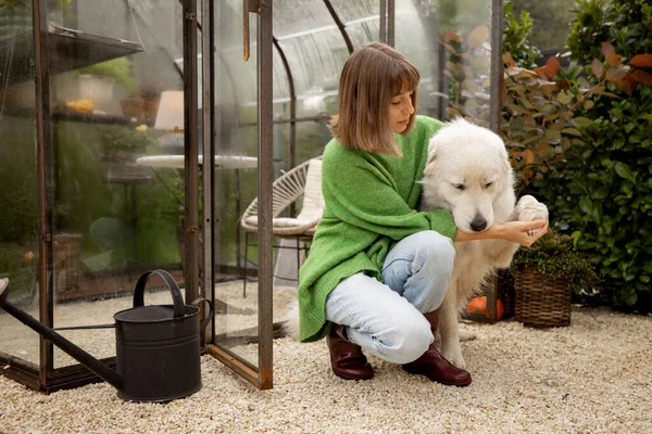 年轻女子带着她的白狗在后院温室附近 在户外消磨时光 — 图库照片