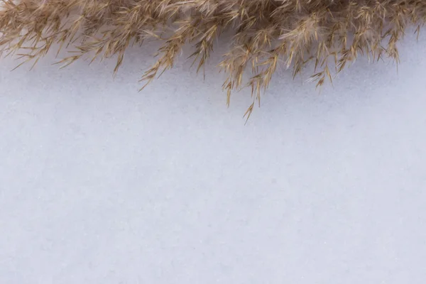 雪の上のテキストの自然なフレーム — ストック写真