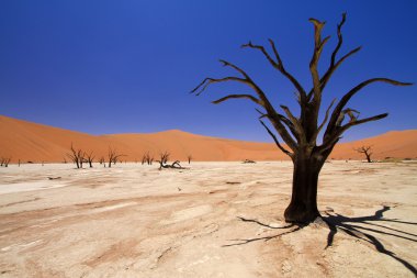 Sossusvlei, namib Namibya