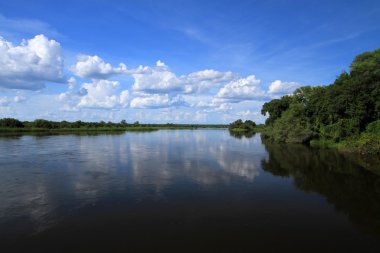 Okavango river Africa clipart