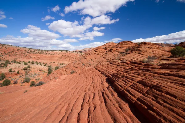 Coyote buttes canyon — Stok Foto