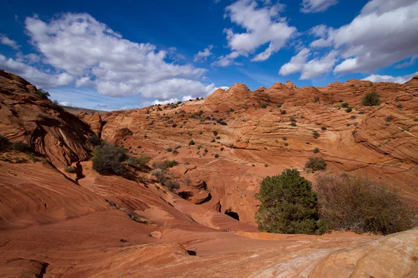 Coyote buttes canyon — Stok Foto