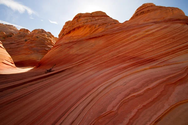 Prærieulvbuttes canyon – stockfoto