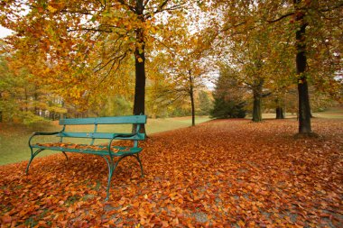 Park bench sonbahar yaprakları - herbstlaub