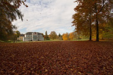 sonbahar yaprakları - herbstlaub