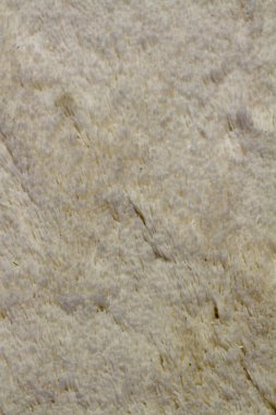 Tekstil beyaz artalanları