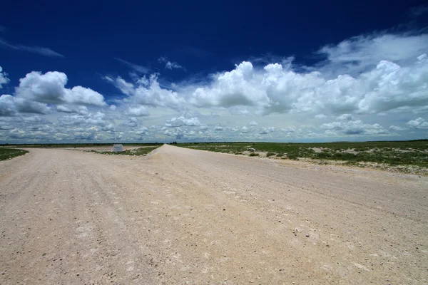 Pustynia nationalpark etosha namibia — Zdjęcie stockowe