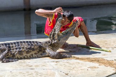 Sumut prakarn Timsah çiftliği