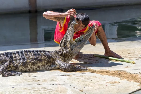 Sumut prakarn krokodil farm — Stock Fotó