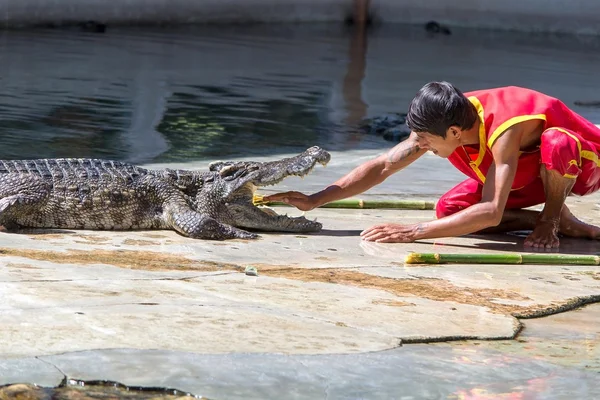 Sumut prakarn Timsah çiftliği