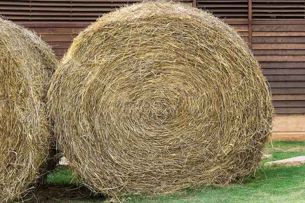 Golden hay bales — Stock Photo, Image