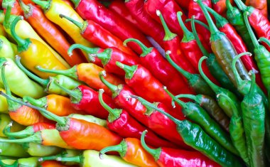 Yeşil ve kırmızı biber karışımı