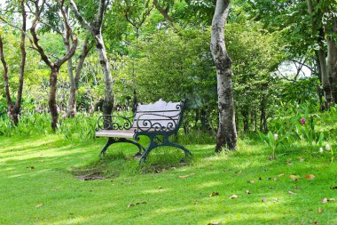 Bahçedeki sandalye.