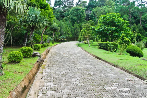 O caminho no jardim — Fotografia de Stock