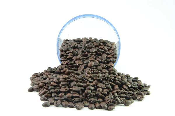 Coffee beans — Stock Photo, Image