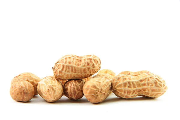 Peanut — Stock Photo, Image