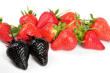 genovariation