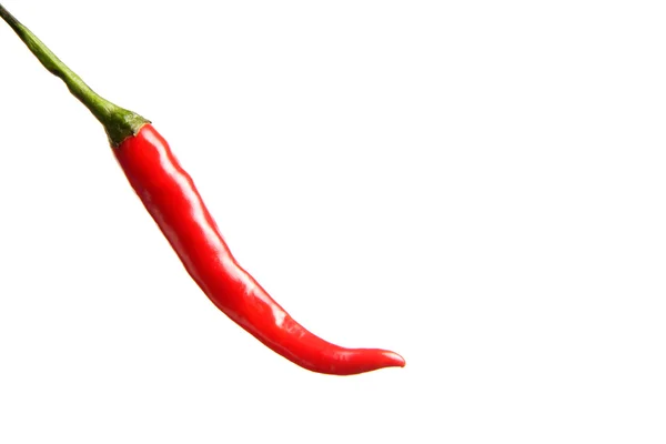 Hete peper — Stockfoto