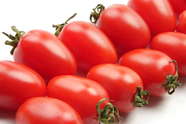 多彩番茄 — 图库照片