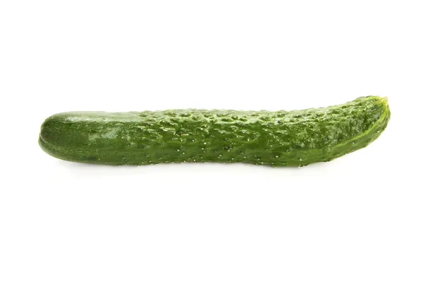 Pepino — Foto de Stock