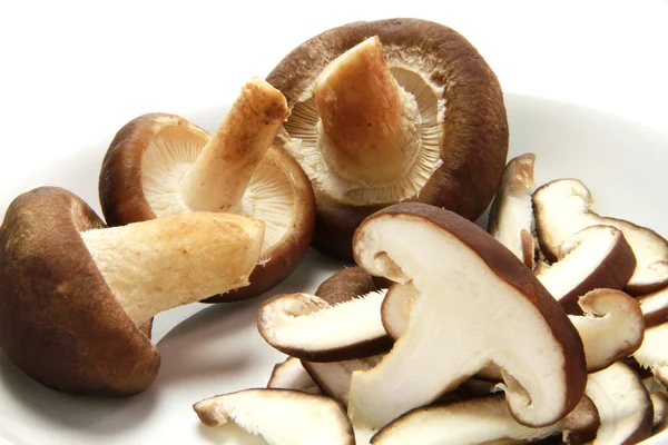 Mushroom — Stock Photo, Image