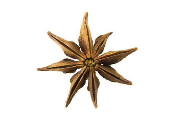 Chinese anise — Stock Photo, Image