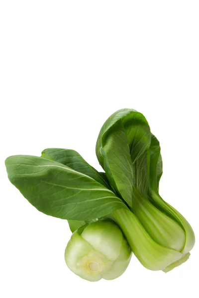 Dziecko bokchoi — Zdjęcie stockowe