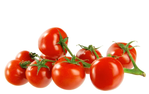 Tomato — Stock Photo, Image