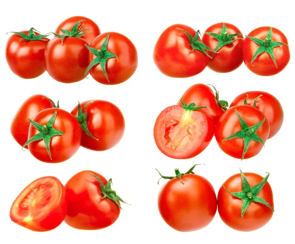 Tomato collection — Stock Photo, Image